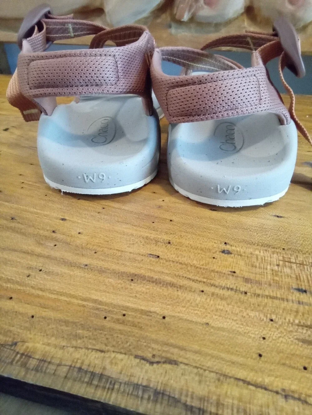Chaco CushZ Toe-Loop Extra Cushioned Sandals Women's Sz 9 Frond Pink Salt